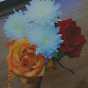 Meet your Posher, Sulema